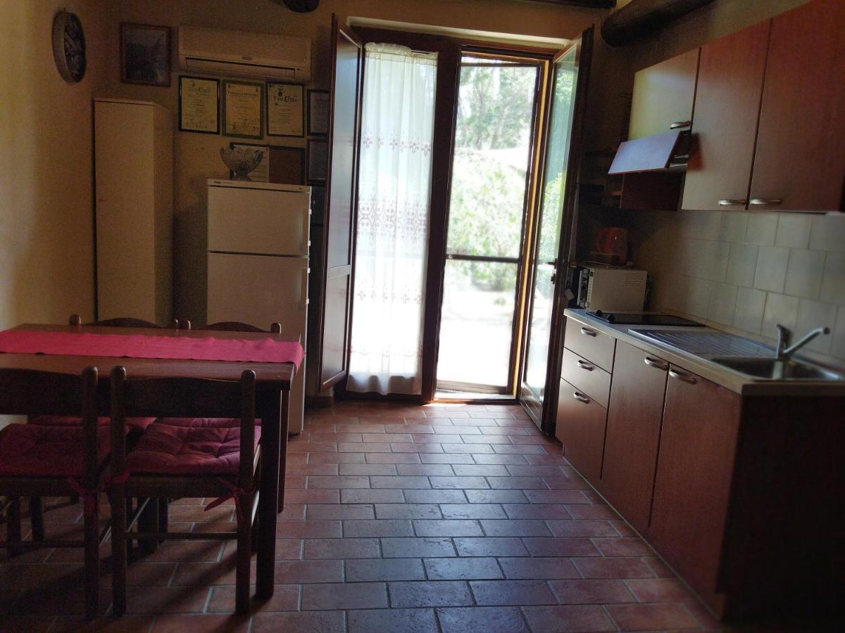 Azienda Agrituristica Le Betulle Riotorto Extérieur photo