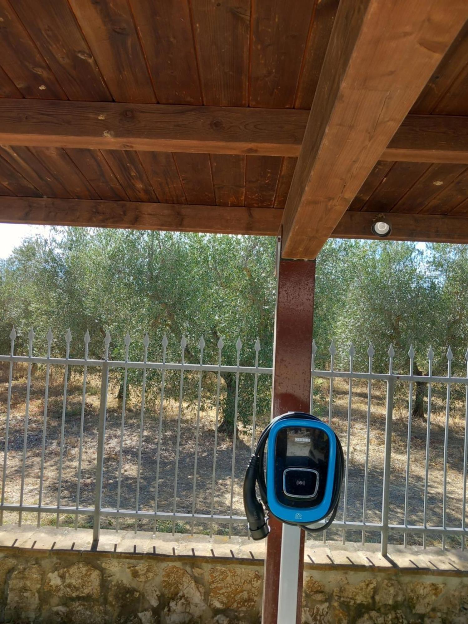 Azienda Agrituristica Le Betulle Riotorto Extérieur photo
