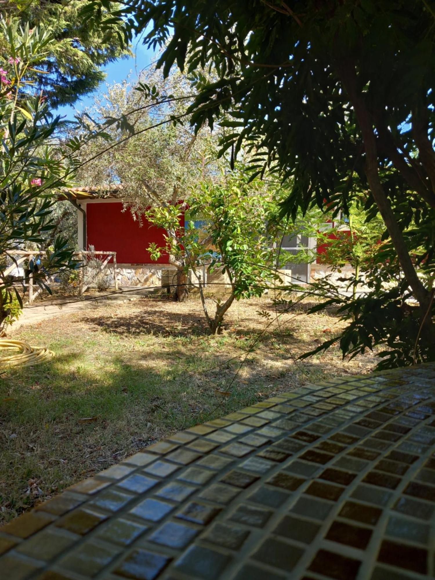 Azienda Agrituristica Le Betulle Riotorto Extérieur photo