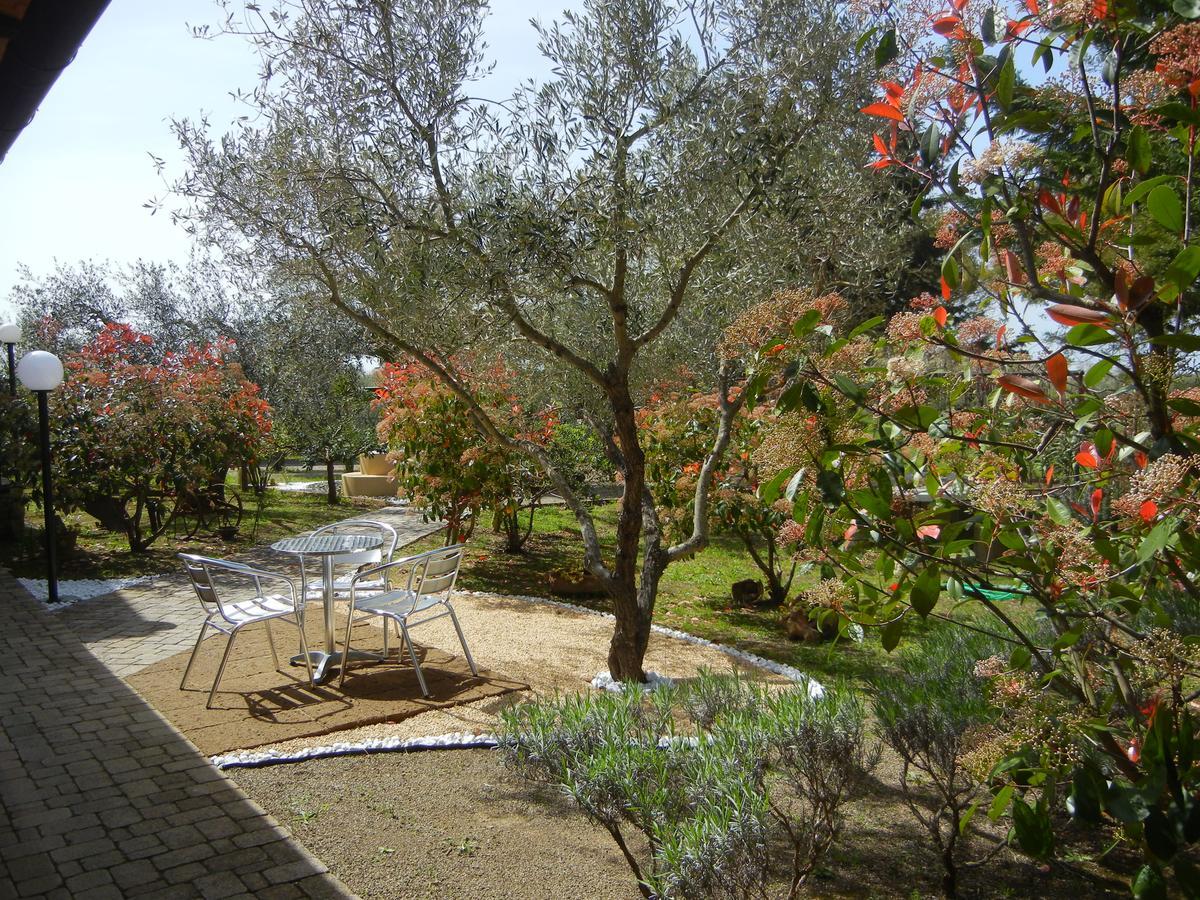 Azienda Agrituristica Le Betulle Riotorto Extérieur photo